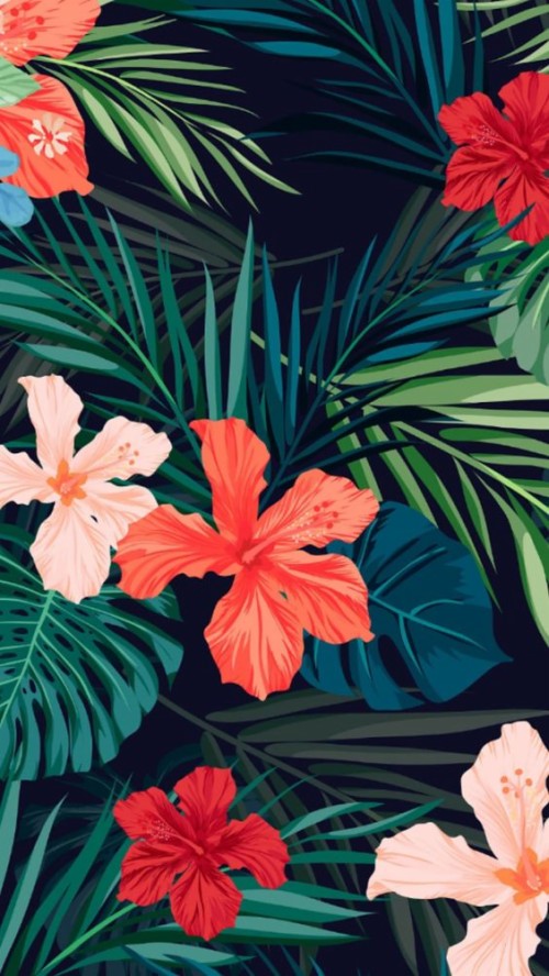 夏の壁紙 ハワイアンハイビスカス ハイビスカス 赤 花 工場 葉 パターン 開花植物 花弁 Wallpaperkiss