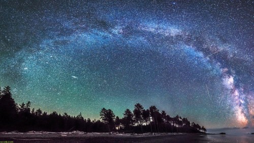 シエロの壁紙 空 夜 雰囲気 木 オーロラ 雲 天の川 スペース 風景 Wallpaperkiss