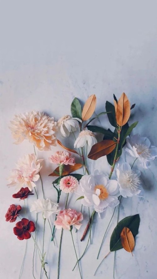 花画像壁紙 花 工場 静物 開花植物 水彩絵の具 静物写真 花弁 ペインティング 切り花 Wallpaperkiss