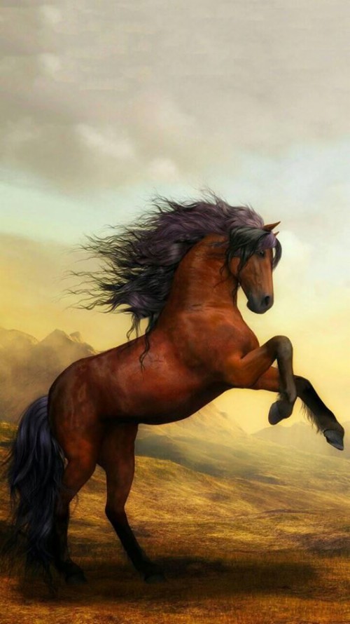 馬の壁紙 うま たてがみ 種馬 マスタング馬 空 牝馬 栗色 ペインティング アート Wallpaperkiss