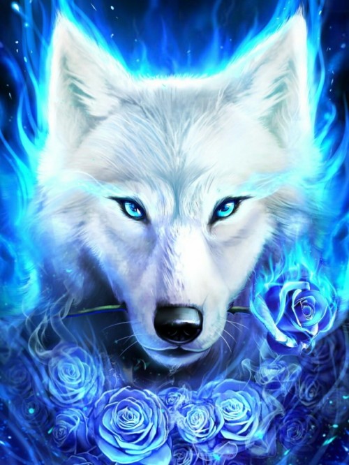 fondo de pantalla de lobo,azul,lobo,ilustración,canis lupus tundrarum
