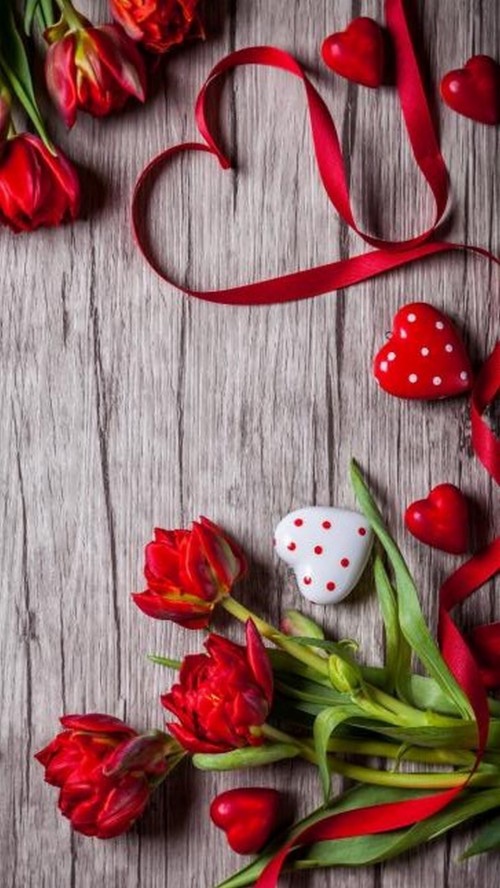 かわいい壁紙のhd 赤 チューリップ 工場 心臓 花 花弁 バレンタイン デー 静物写真 愛 アンスリウム Wallpaperkiss
