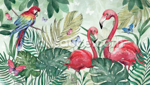 壁紙フラメンゴhd フラミンゴ オオフラミンゴ 鳥 水鳥 自然の風景 野生動物 陸生動物 Wallpaperkiss