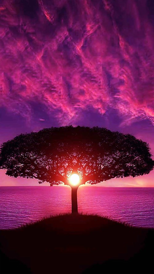 壁紙1080x19 空 自然 バイオレット 紫の 朝の赤い空 地平線 ピンク 赤 残照 雲 Wallpaperkiss