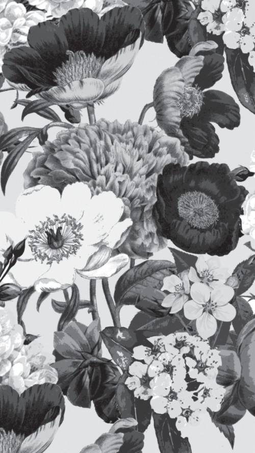 花壁紙iphone 花 黒と白 モノクロ写真 工場 花弁 開花植物 図 切り花 モノクローム Wallpaperkiss