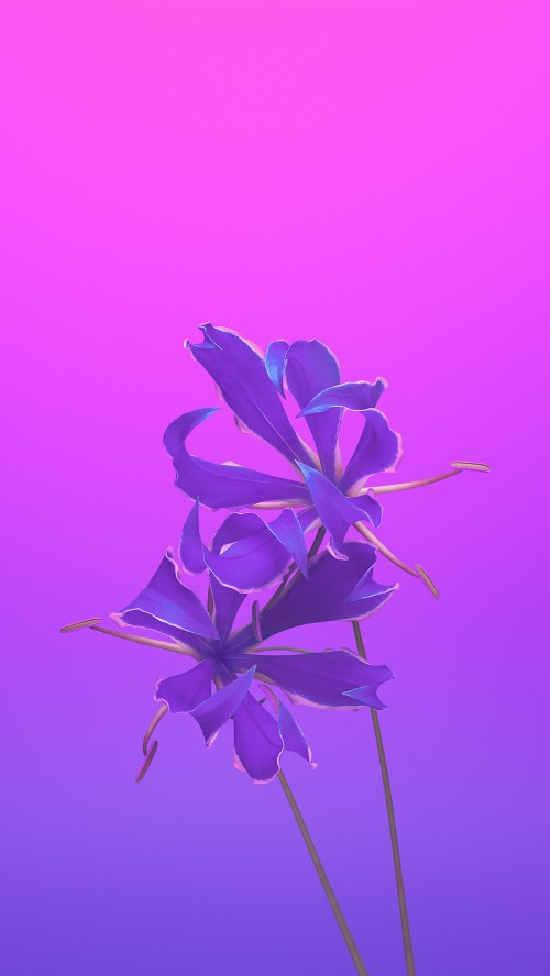 花壁紙iphone バイオレット 紫の 花 ライラック 青い 花弁 工場 ラベンダー 開花植物 Wallpaperkiss