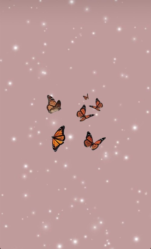 Aesthetic Wallpaper Butterfly Pink Illustration Pattern Pollinator Moths And Butterflies Insect Monarch Butterfly Wallpaperkiss