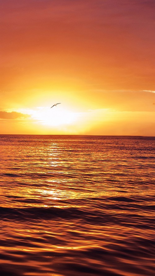 サムスンのモバイル壁紙のhd 空 地平線 日の出 朝の赤い空 海 日没 自然 海洋 オレンジ 穏やかな Wallpaperkiss
