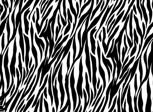ゼブラ柄の壁紙 パターン ライン モノクローム 黒と白 設計 パターン 野生動物 平行 図 Wallpaperkiss