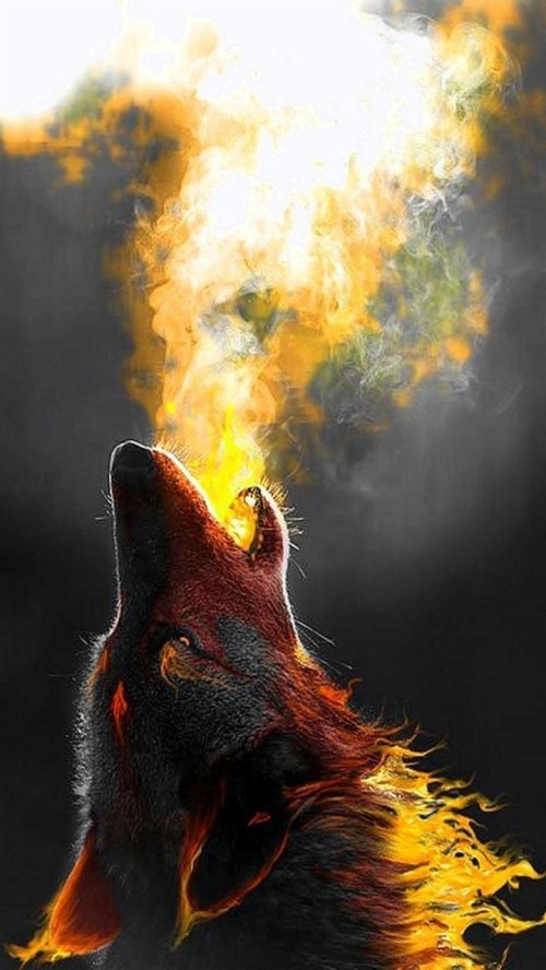 Coole Bilder Fur Wallpaper Deutscher Schaferhund Schnauze Flamme Feuer Hitze Illustration 1072076 Wallpaperkiss