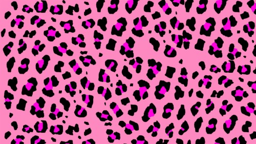 ゼブラ柄の壁紙 ピンク パターン 紫の 設計 繊維 パターン Wallpaperkiss
