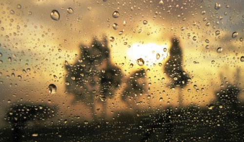 動く壁紙無料 水 空 雨 落とす 朝 雰囲気 霧雨 日光 写真撮影 Wallpaperkiss