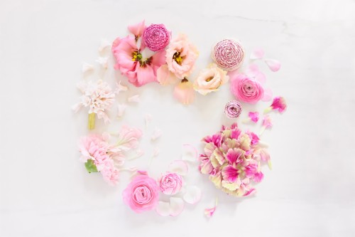 花のデスクトップの壁紙 ピンク 花 花弁 工場 切り花 造花 ローズ フォント Wallpaperkiss