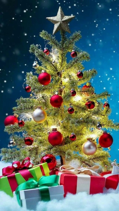 クリスマスの壁紙 クリスマスツリー クリスマスの飾り クリスマスオーナメント クリスマス 木 クリスマス イブ 休日の飾り コロラドスプルース インテリア デザイン モミ Wallpaperkiss