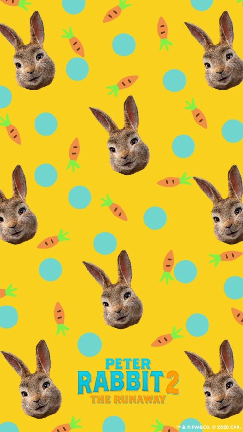 ピーターラビット壁紙 ウサギ 黄 ウサギとウサギ 野生動物 野ウサギ 鼻 イースターのウサギ ウッドラビット Wallpaperkiss
