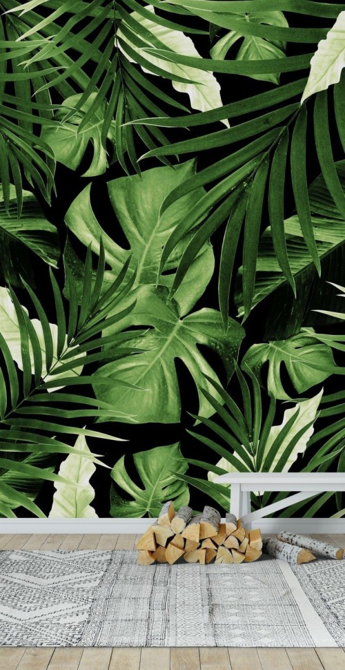ジャングルの壁紙 葉 工場 花 モンステラデリシオサ 観葉植物 アンスリウム ハーブ ヤシの木 開花植物 105 Wallpaperkiss