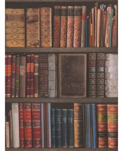 本の壁紙 棚 棚 本棚 本 家具 褐色 刊行物 木材 図書館 Wallpaperkiss