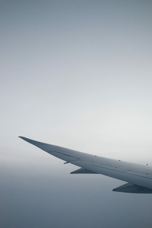 飛行機の壁紙 空 航空会社 昼間 羽 飛行機 雰囲気 フライト 雲 穏やかな Wallpaperkiss