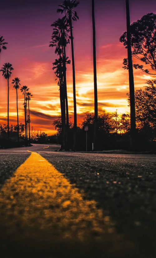 カリフォルニア州の壁紙 空 自然 日没 日の出 木 自然の風景 地平線 イブニング オレンジ 夕暮れ Wallpaperkiss