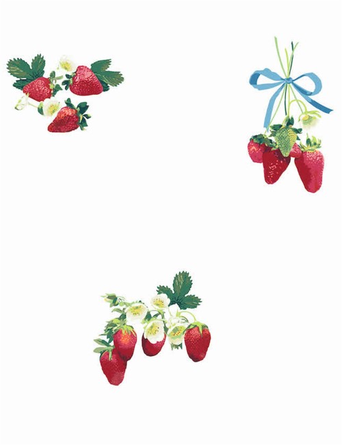 イチゴの壁紙 イチゴ フルーツ 工場 ベリー 図 食物 花 アクセサリーフルーツ Wallpaperkiss