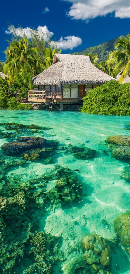 楽園の壁紙 自然の風景 自然 ラグーン カリブ海 リゾート 島 海洋 海 Wallpaperkiss