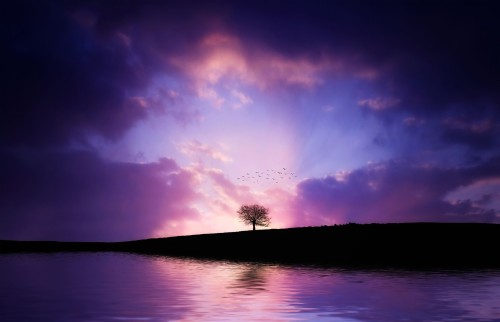 リラックスした壁紙 空 自然 雲 地平線 水 青い 反射 紫の 自然の風景 Wallpaperkiss