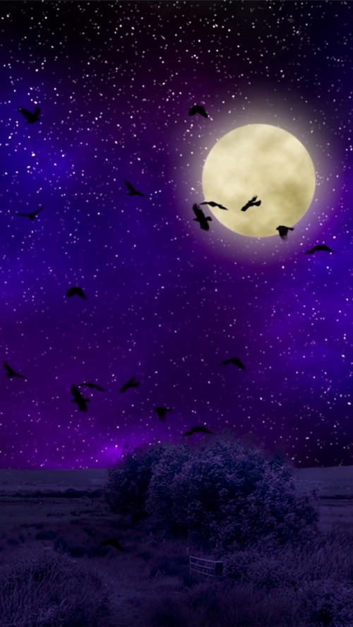 Photoshopの背景の壁紙 空 バイオレット 紫の 雰囲気 天体 宇宙 光 月光 スペース 夜 Wallpaperkiss
