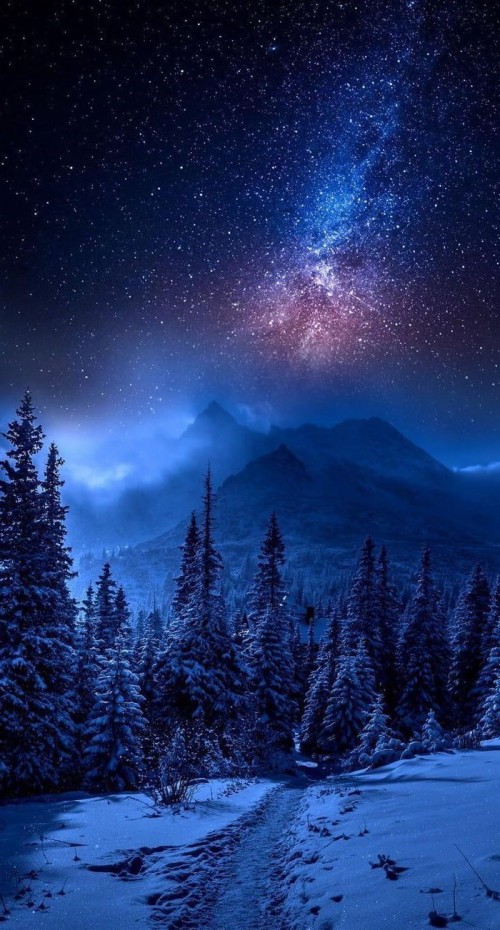 2kの壁紙 空 自然 自然の風景 夜 雰囲気 冬 木 雪 Wallpaperkiss