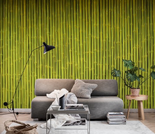 竹の壁紙 リビングルーム ルーム インテリア デザイン 壁紙 緑 壁 家具 黄 カーテン 褐色 Wallpaperkiss