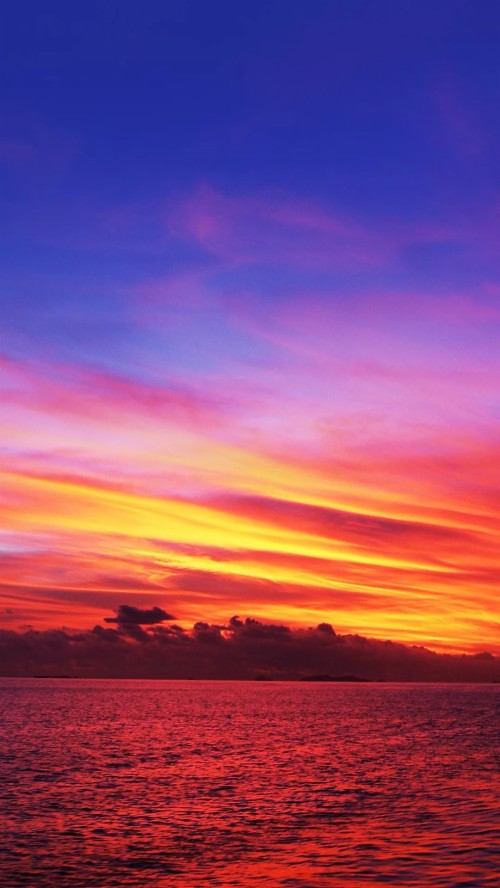 美しい夕日の壁紙 空 地平線 残照 海 海洋 日没 日の出 穏やかな 紫の 雲 Wallpaperkiss