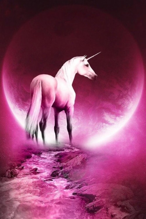 Vrai Fond D Ecran En Direct Licorne Personnage Fictif Creature Mythique Rose Cheval Illustration Etalon Wallpaperkiss