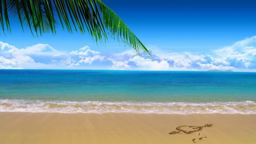 ビーチの写真の壁紙 空 自然 海洋 海 カリブ海 ビーチ 青い ヤシの木 木 Wallpaperkiss