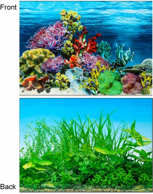Gambar Untuk壁紙 淡水水族館 水生植物 工場 水族館 サンゴ礁 花 リーフ 海洋生物学 Wallpaperkiss