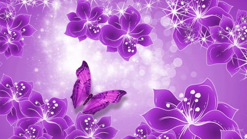 紫色の蝶の壁紙 ピンク 紫の バタフライ バイオレット 蛾と蝶 花弁 工場 花 パターン Wallpaperkiss
