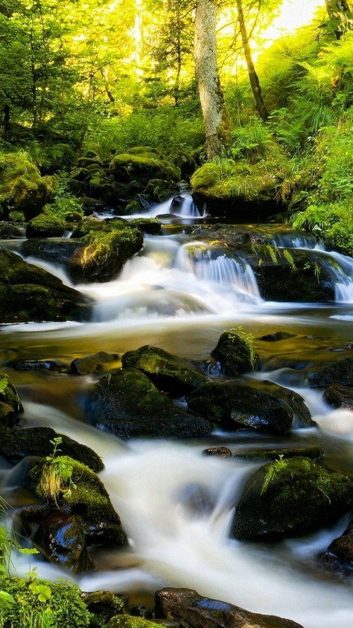 自然ライブ壁紙 水資源 水域 自然の風景 自然 ストリーム 水路 水 山川 クリーク Wallpaperkiss