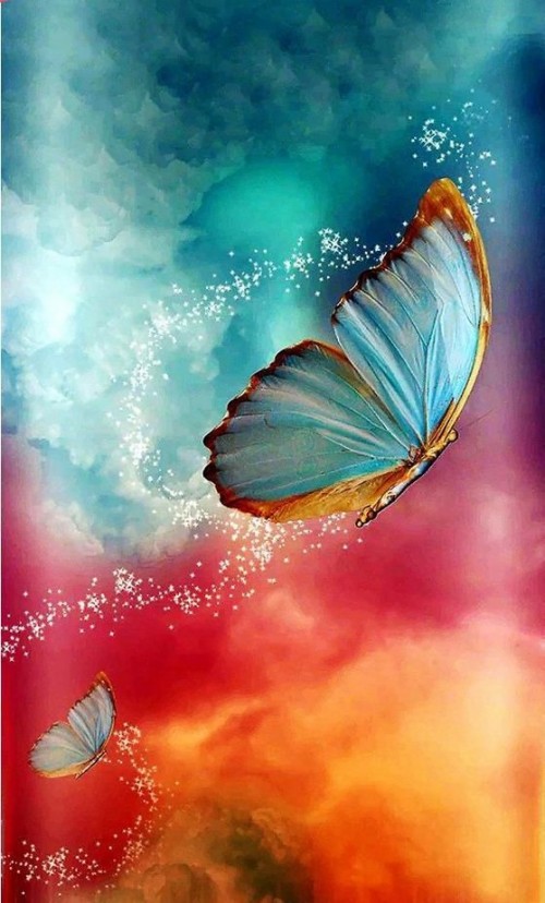 新しい美しい壁紙 バタフライ 昆虫 蛾と蝶 空 無脊椎動物 マクロ撮影 ストックフォト 図 Wallpaperkiss