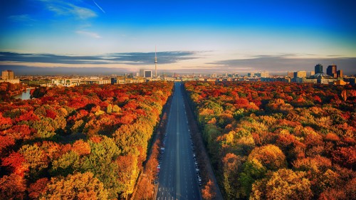 秋のデスクトップの壁紙 自然 空 自然の風景 空中写真 葉 首都圏 昼間 市 秋 Wallpaperkiss