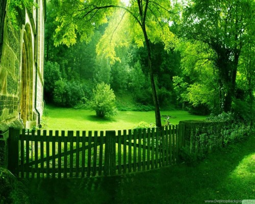 最高の自然の壁紙 緑 自然の風景 自然 木 草 芝生 フェンス Wallpaperkiss