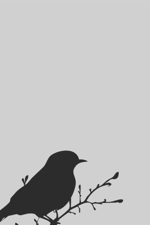 ミニマリストのiphoneの壁紙 鳥 カラス カラス 黒い鳥 図 カラス シルエット 止まった鳥 鳴き鳥 Wallpaperkiss