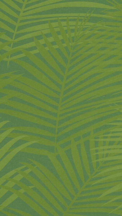 Iphone 6オリジナル壁紙 緑 葉 バナナの葉 パターン 工場 対称 Wallpaperkiss