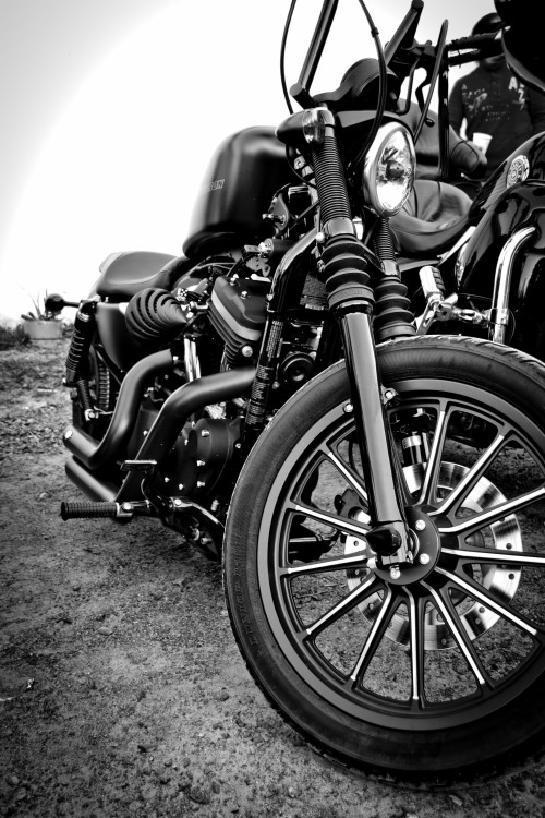 Harley Davidson Wallpaper Land Vehicle Vehicle Motor Vehicle Motorcycle Automotive Tire Tire Spoke Wheel Alloy Wheel Auto Part Wallpaperkiss