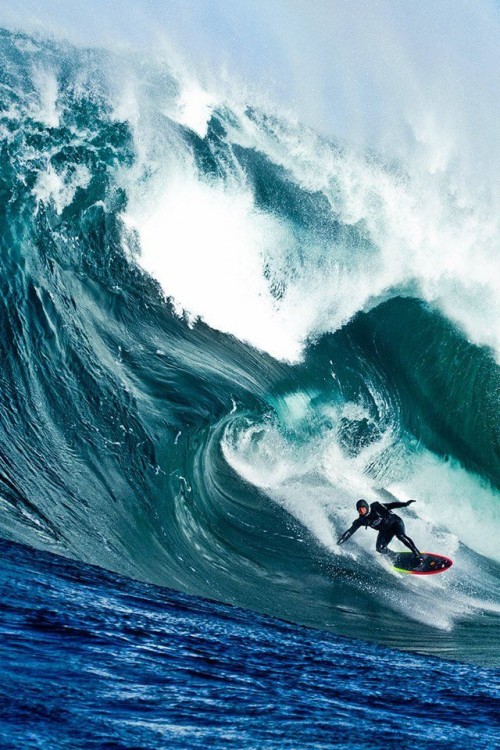 サーフ壁紙 波 風の波 サーフィン 地表ウォータースポーツ ボディーボード 海洋 Wallpaperkiss
