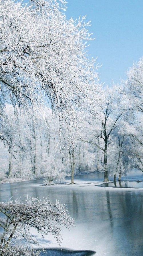 風景iphoneの壁紙 霜 冬 自然の風景 自然 木 凍結 雪 水 Wallpaperkiss