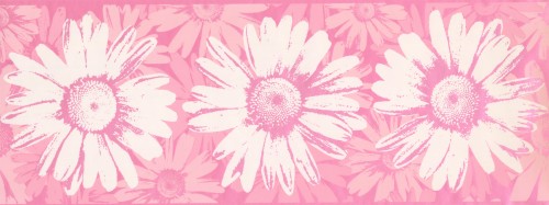 ピンクと白の壁紙 ピンク パターン 花 花柄 工場 花弁 設計 繊維 野草 視覚芸術 117 Wallpaperkiss
