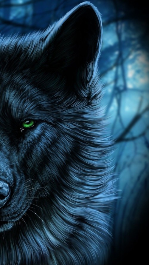 オオカミの壁紙のhd 狼 鼻 野生動物 闇 架空の人物 アニメーション 図 Wallpaperkiss