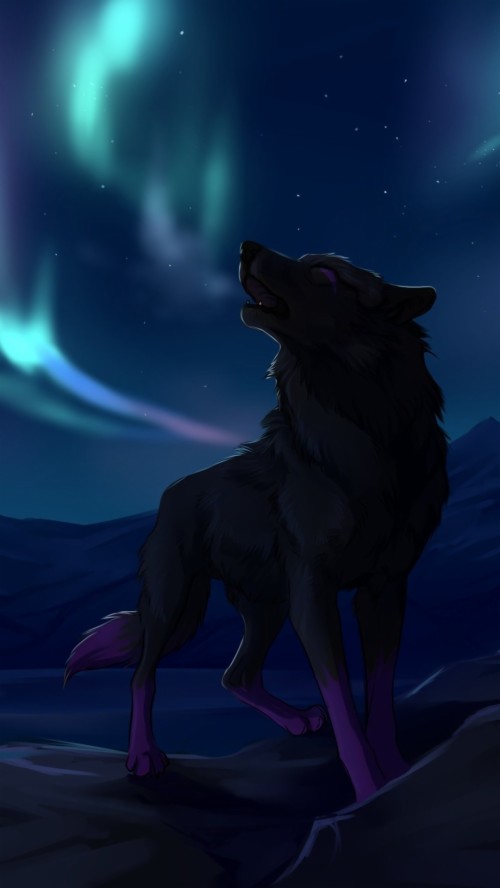 Fond D Ecran Loup Hd Loup Ciel Clair De Lune Tenebres Personnage Fictif Nuit Loup Garou Oeuvre De Cg Espace Wallpaperkiss