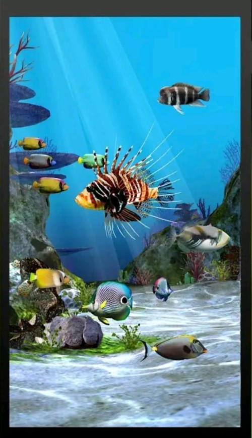 Coral Reef Aquarium 3d Animated Wallpaper Image Num 40