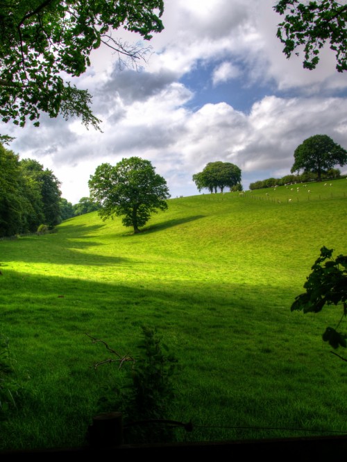 緑の自然の壁紙のhd 自然の風景 緑 自然 草原 空 草 木 牧草地 Wallpaperkiss