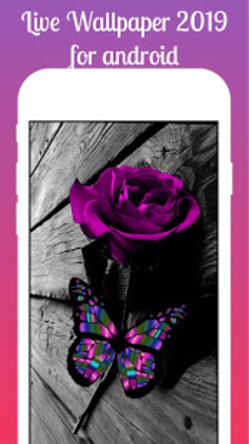 花のライブ壁紙のhd 携帯ケース 紫の ピンク バイオレット 製品 テキスト 携帯電話アクセサリー 花弁 ローズ Wallpaperkiss