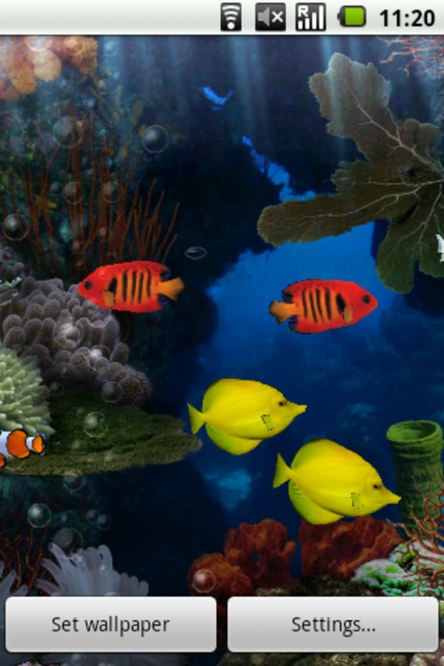 Coral Reef Aquarium 3d Animated Wallpaper Image Num 58